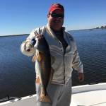 Rob Brandon Profile Picture