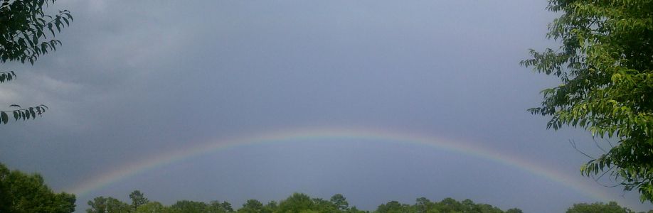 Bill Sanchez Cover Image