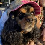 Dawn LaTour Profile Picture