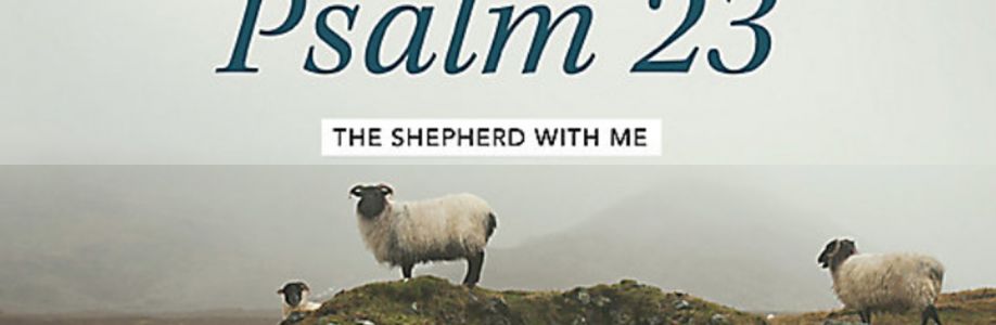 Psalm 23 review for CTK Women Cover Image