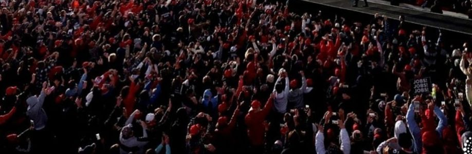 Misty Cox Cover Image