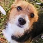 Glenn Killman Profile Picture