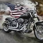 Belinda Bee Profile Picture