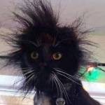 Debra Turner Profile Picture