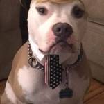 KTFitzgerald Profile Picture