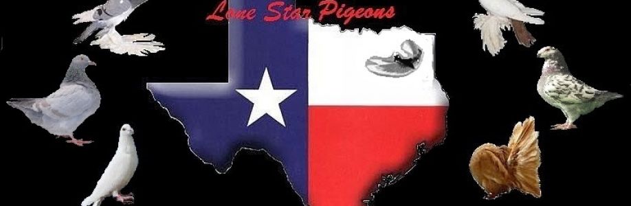 Lone Star Pigeons Cover Image