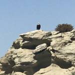 Swakefield Profile Picture