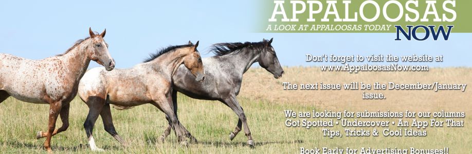 Appaloosas Now Magazine Cover Image