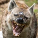 Michaelann Berger Profile Picture