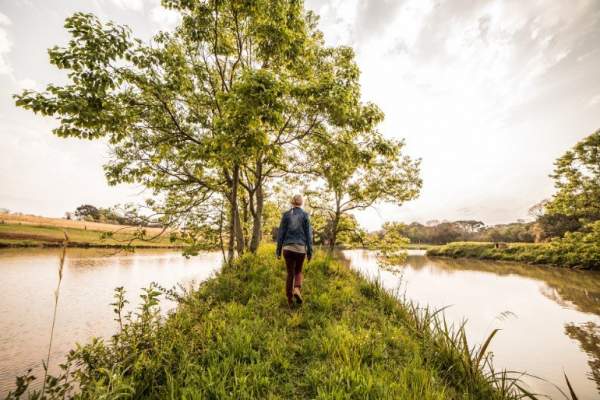 Human Wilderness Connection Has Psychological Roots and Could Reduce Disease Risk - Neuroscience News