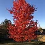 J A LaBarbera Profile Picture