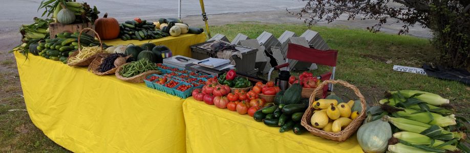 James Delancy Cover Image