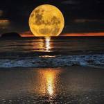 Tara Hicks Profile Picture