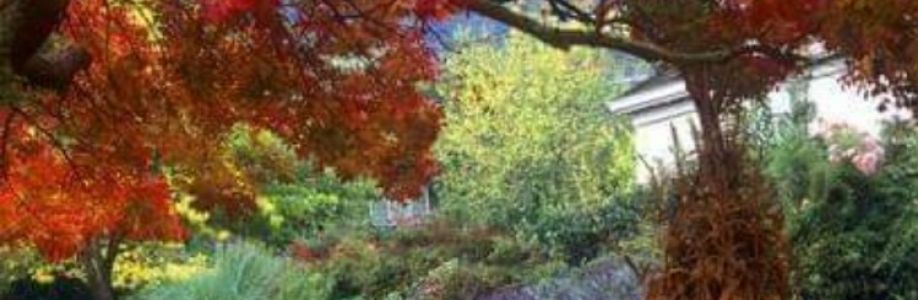 Patty Wheat Cover Image