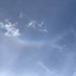 Wendy Cook Profile Picture