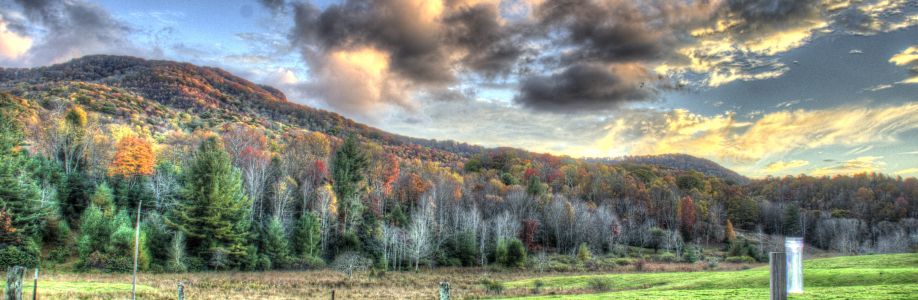 Doug Lindauer Cover Image