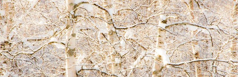 Nancy Whiting Cover Image