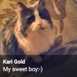 Kari Gold Profile Picture