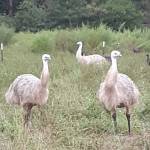 John Garza Profile Picture