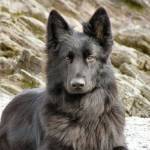 Marla Kuehne Profile Picture