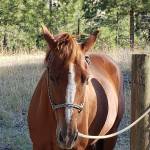 S Bristol Profile Picture