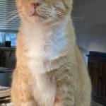 Caroline Emmert Profile Picture