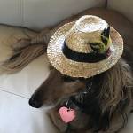 Jim Pecan Profile Picture