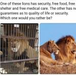 Camille Profile Picture