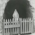 Deborah Waddell Profile Picture