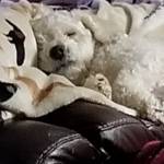 LouAnn Profile Picture