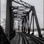 DianaLutton Profile Picture