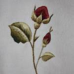 stitchingthyme Profile Picture