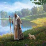 jayne Shirley Profile Picture