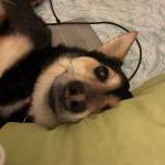 Stephanie Johnson Profile Picture