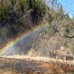 Brenda cuevas Profile Picture