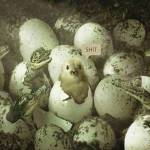 John Rod Profile Picture