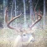 All things hunting Profile Picture