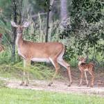 Kimberly Knight Profile Picture