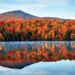 Bambi Bianchi Profile Picture