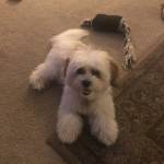 Denise Beachum Profile Picture