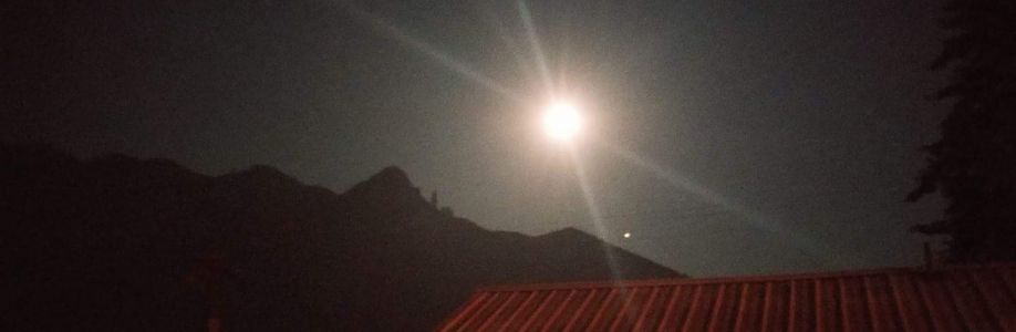 Nicol Tyler Cover Image