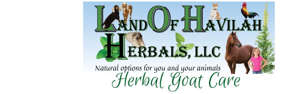 Herbal Goat Care with Land of Havilah Cover Image