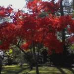 debera fleming Profile Picture