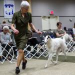 DebR_Velos Profile Picture