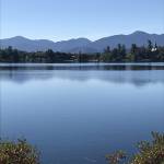 Linda Sawyer Profile Picture