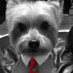 Maddaline Albino Profile Picture