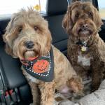 Catherine Magallones Profile Picture