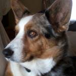 Charles Tucker Profile Picture