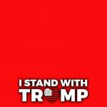 AmericanGirl33 Profile Picture