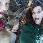 Traci Herbert Profile Picture